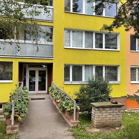 Kamyk